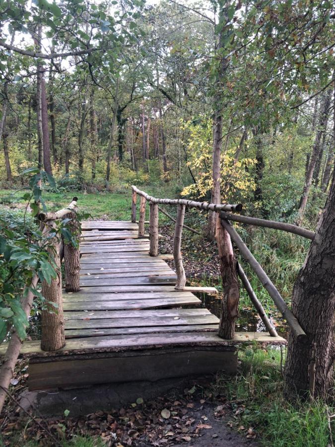 Ferienhaus Am Harkebruegger See Barssel  Zewnętrze zdjęcie